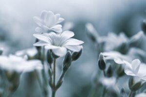 デリケートゾーンの汗と臭い対策にはどんな方法がある？