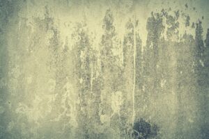 高齢者の体臭対策に役立つグッズは何ですか？