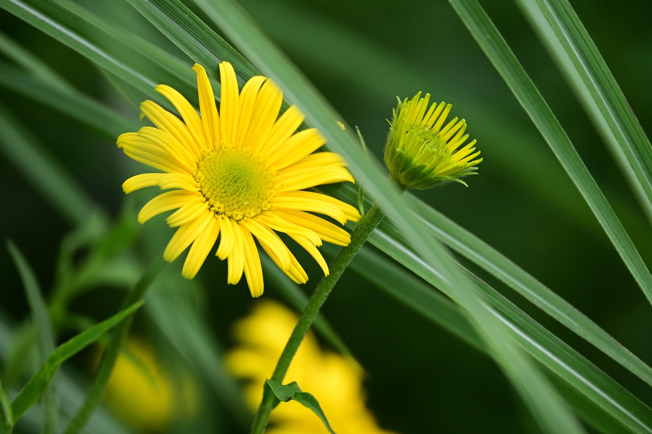 中学生のワキガ対策に効果的な方法は？