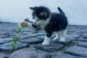 体臭対策におすすめのボディソープランキングは？