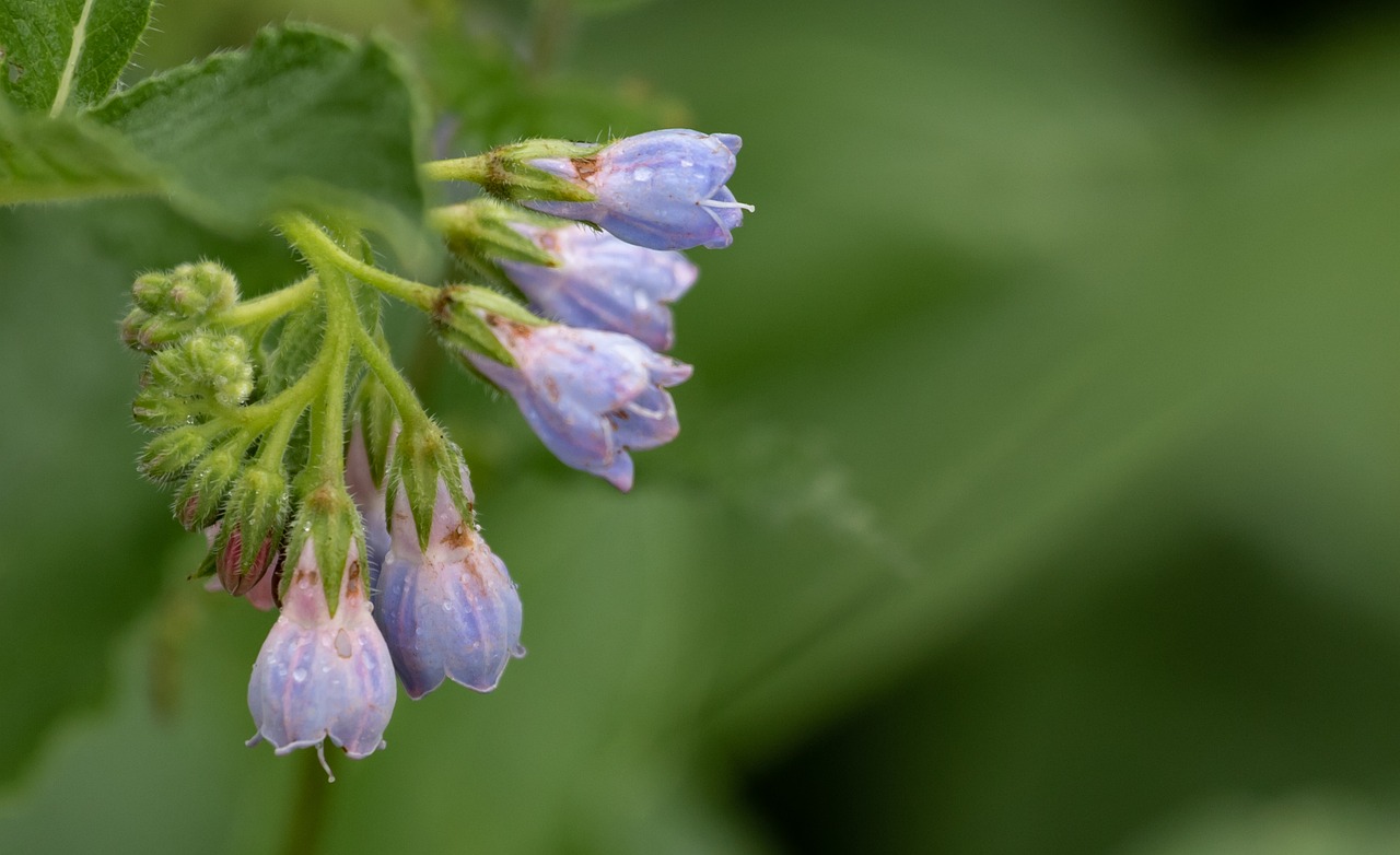 体臭対策におすすめの商品ランキングは？